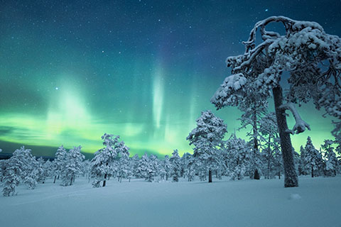 An aurora in Lapland, Finland. Stock image from Unsplash.